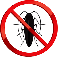 Cockroaches