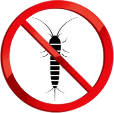 Silverfish